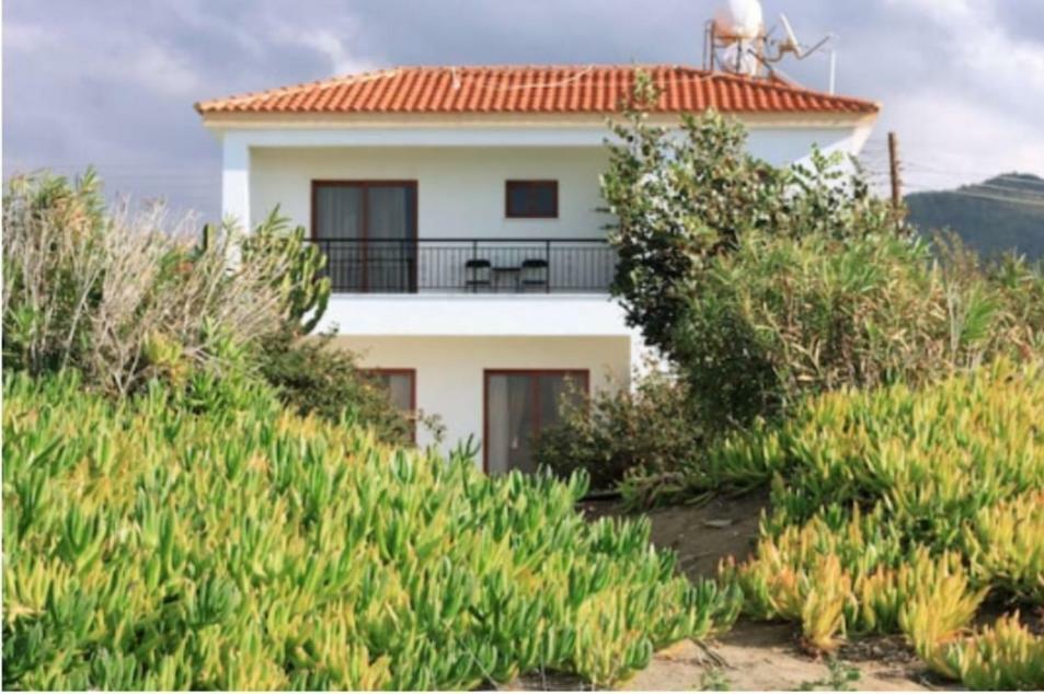 Olgas Villa Agia Marina  Exterior foto